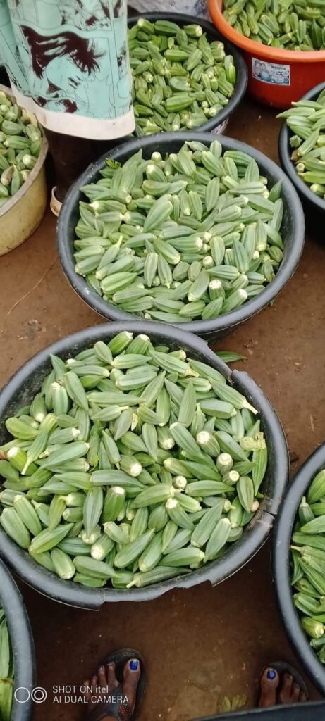 30 BEST SECRETS OF COOKING A PERFECT OKRO SOUP