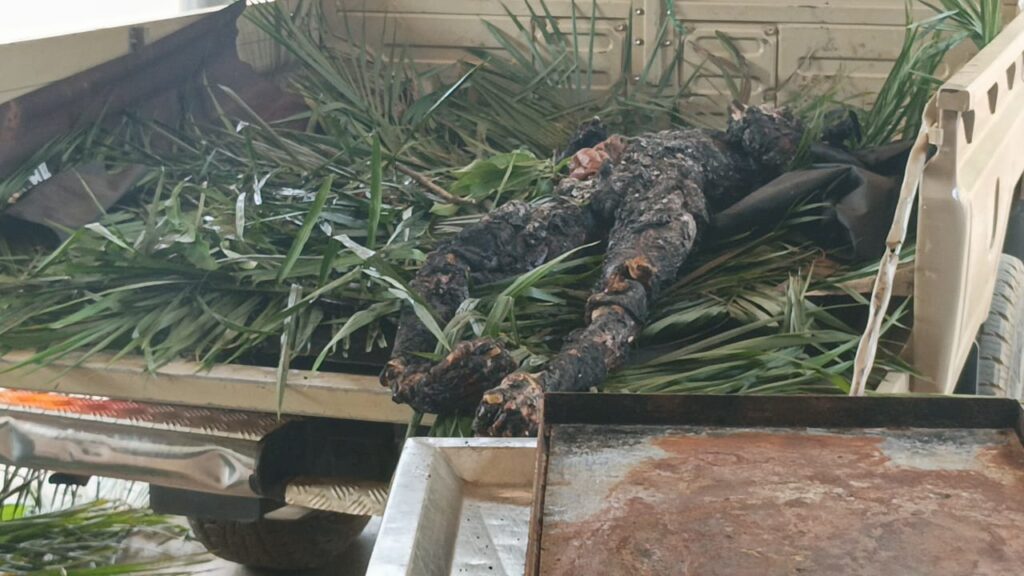 TRAGEDY IN OTI REGION: THREE BURNT TO DEATH IN NKWANTA SOUTH CONFLICT